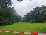 Foto: Umgestürzte Bäume im Rosengarten/Blick in Richtung Pavillon